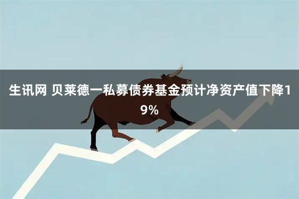生讯网 贝莱德一私募债券基金预计净资产值下降19%
