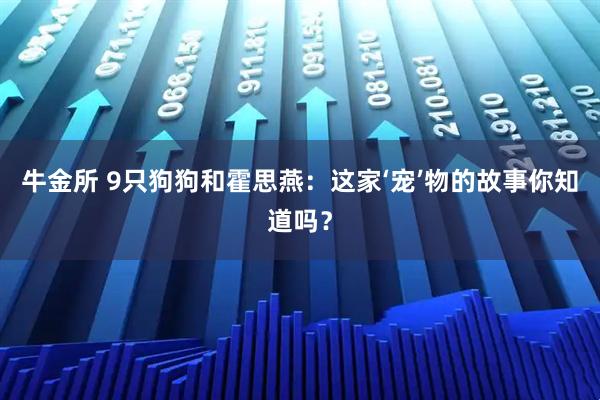 牛金所 9只狗狗和霍思燕：这家‘宠’物的故事你知道吗？