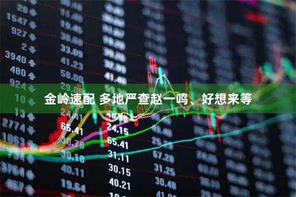 金岭速配 多地严查赵一鸣、好想来等